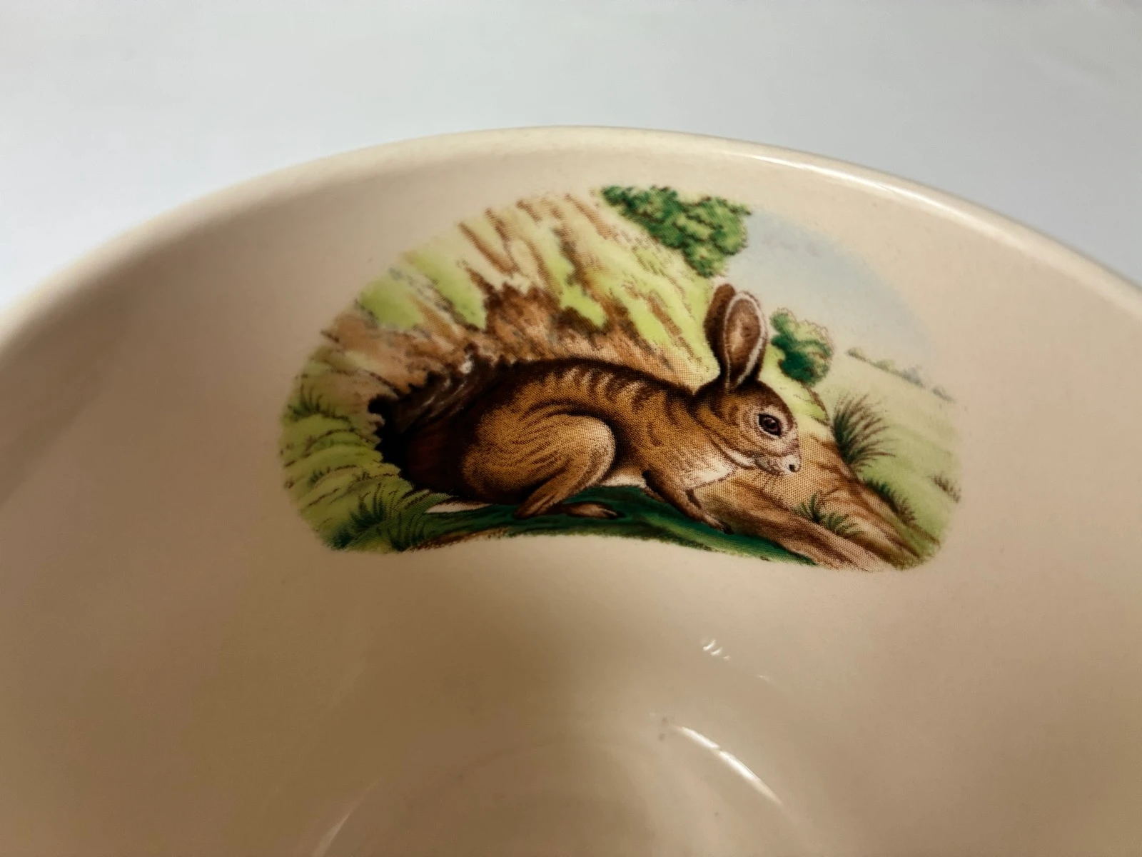 Set of 3 Spode Woodland Rabbit Mugs – photo 11